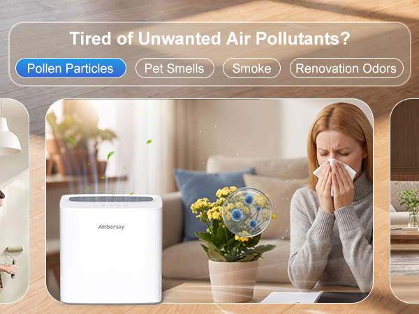 Pollen Particles Air Purifier