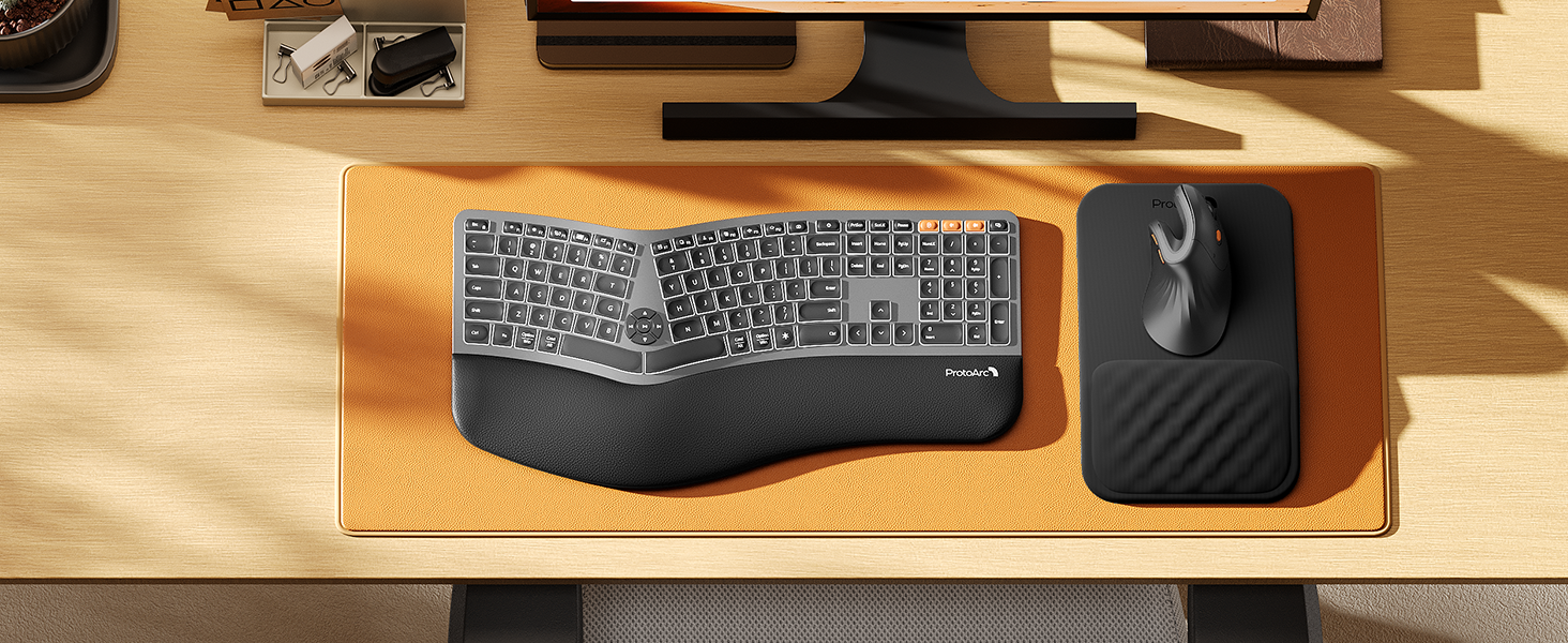 ProtoArc Ergonomic Mouse