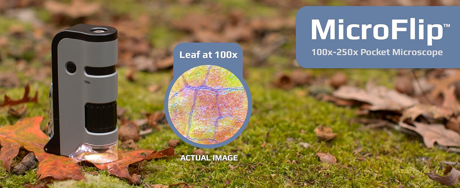 carson microflip, leaf cells under microscope, pocket microscope, field study, handheld microscope