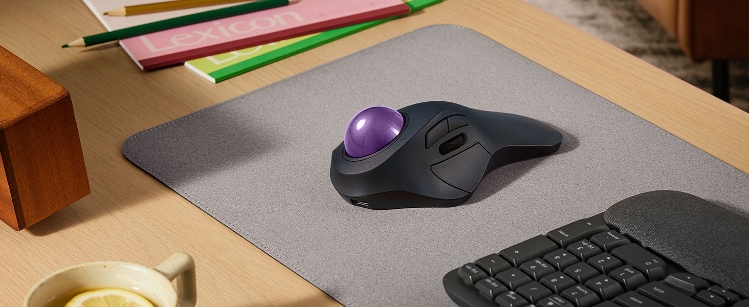 mouse