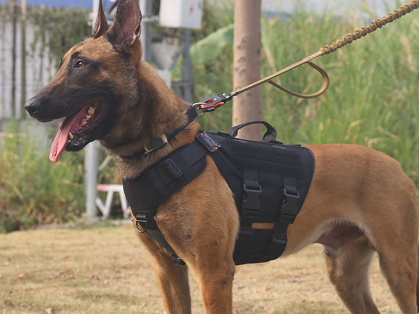 k9 vest black