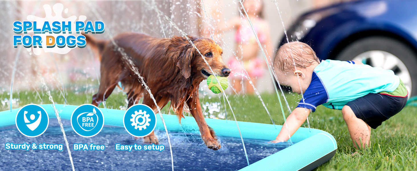 splash pad for dog