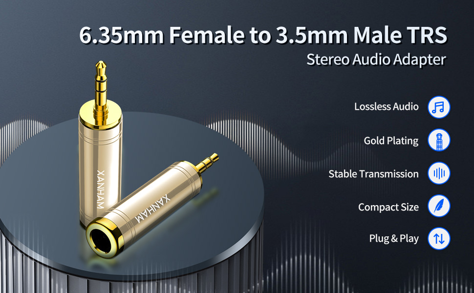 6.35 Female to 3.5mm Male Adapter A+ 01