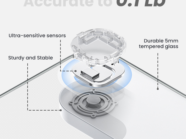 scale for body weight