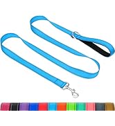 Taglory Dog Leash for Small Dogs, Double-Sided Reflective Leash with Soft Neoprene Padded Handle,...