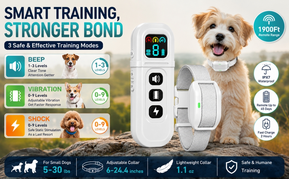 SHOCK collar for small dogs