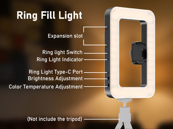 Smartphone Video Rig with Light