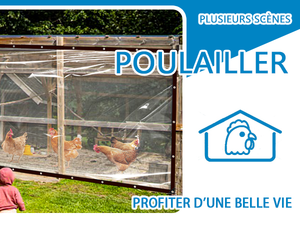 Outdoor chicken coop with wire mesh enclosure showing brown hens inside. Blue text overlay reading 'Poulailler' with chicken house icon.