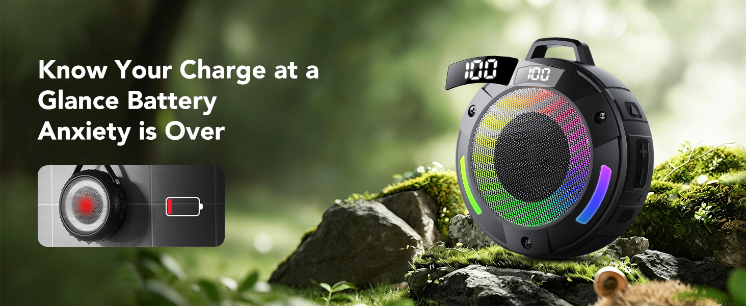 speaker