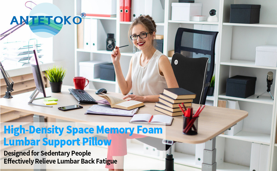 Lumbar Support Pillow1