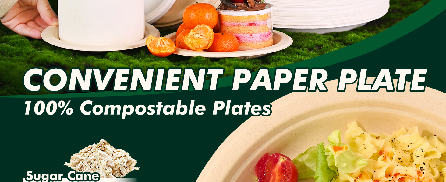 Convenient paper plate