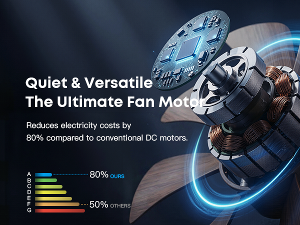 Caged Ceiling Fan with Light and Remote