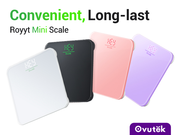 Mini Scale