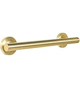 Lava Odoro Shower Grab Bar, Modern Stainless Steel Handicap Grab Bar for Bathtubs and Showers, Sh...