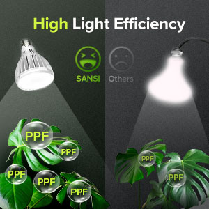 High Light Efficiency