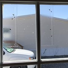 Kensizer window fly trap