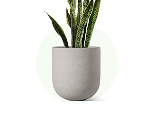 10 inch planter