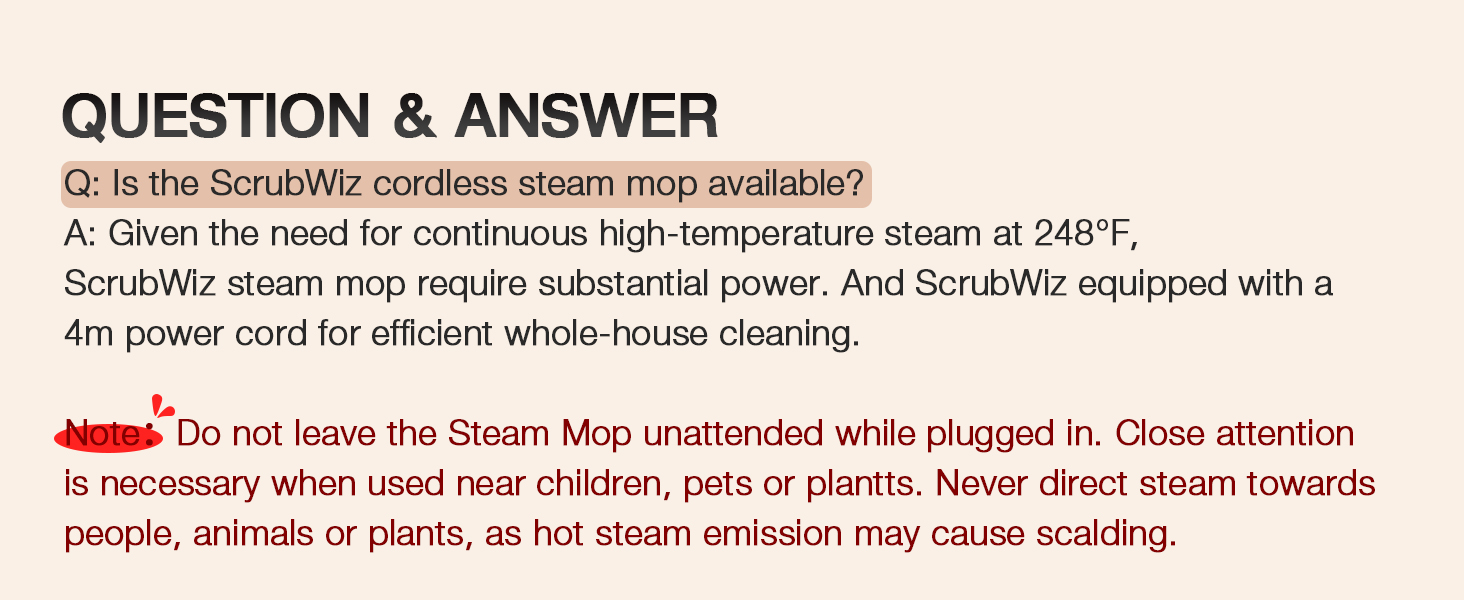 ScrubWiz Steam Cleaner Cleaning Floor Hardwood Stove grill Tile Sofa Carpet Clothing Gap Window bbq