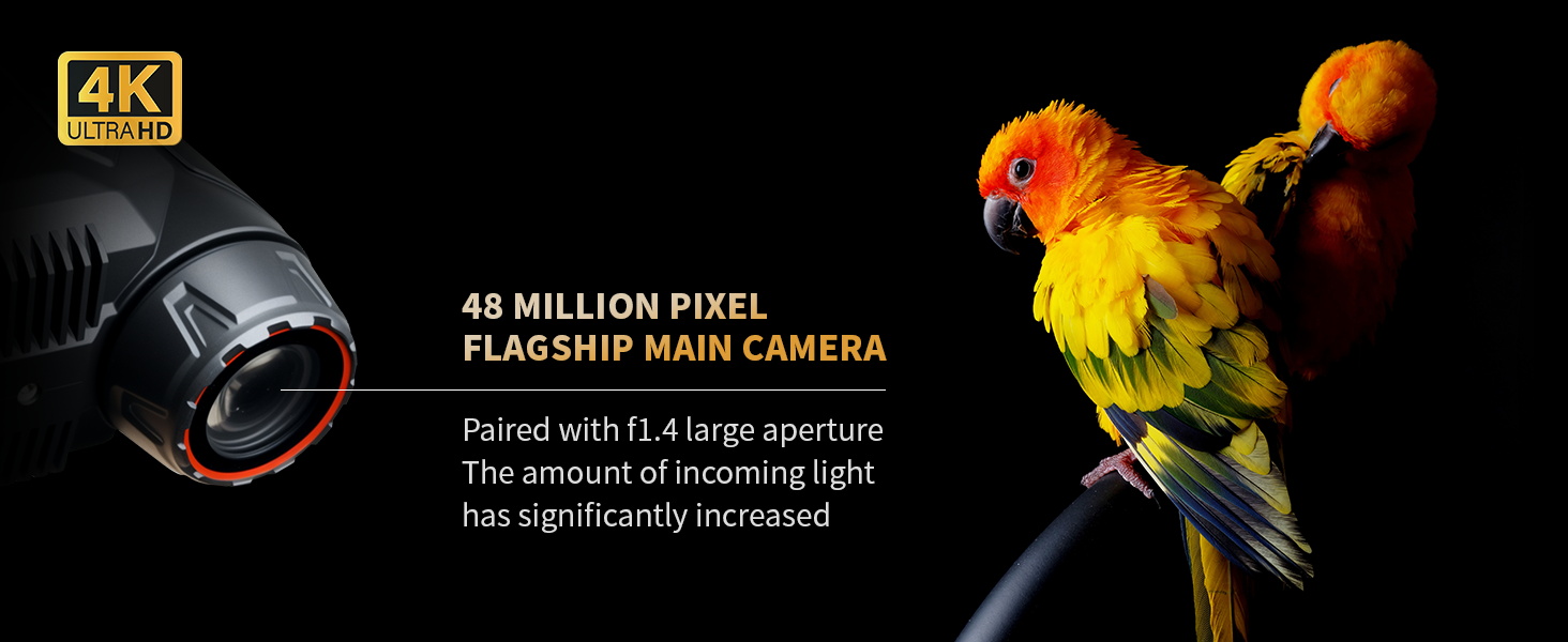 night vision binoculars for adults