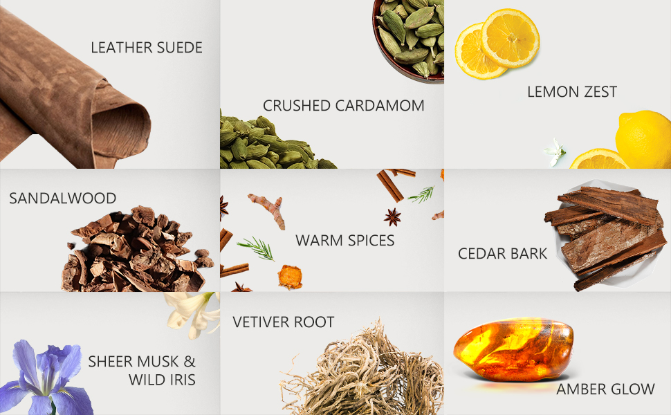 hotel collection car diffuser oil