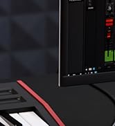 dynamic microphone xlr usb