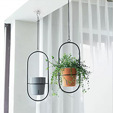 plant hook