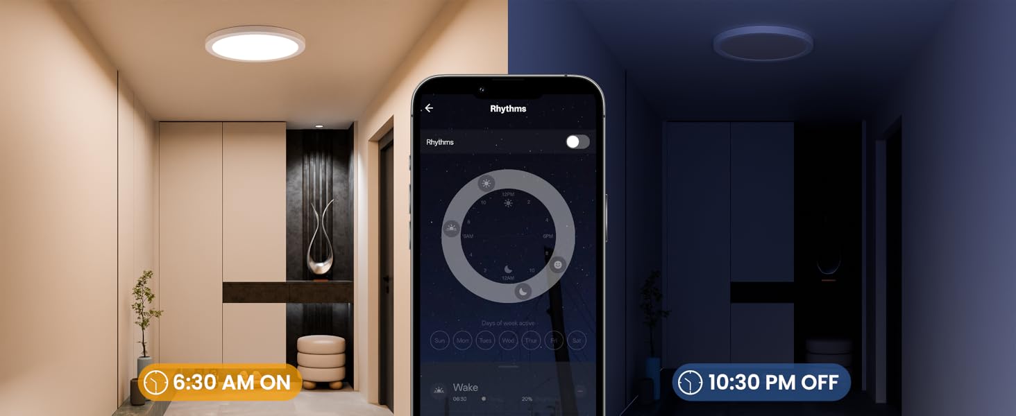 Smart Ceiling Light