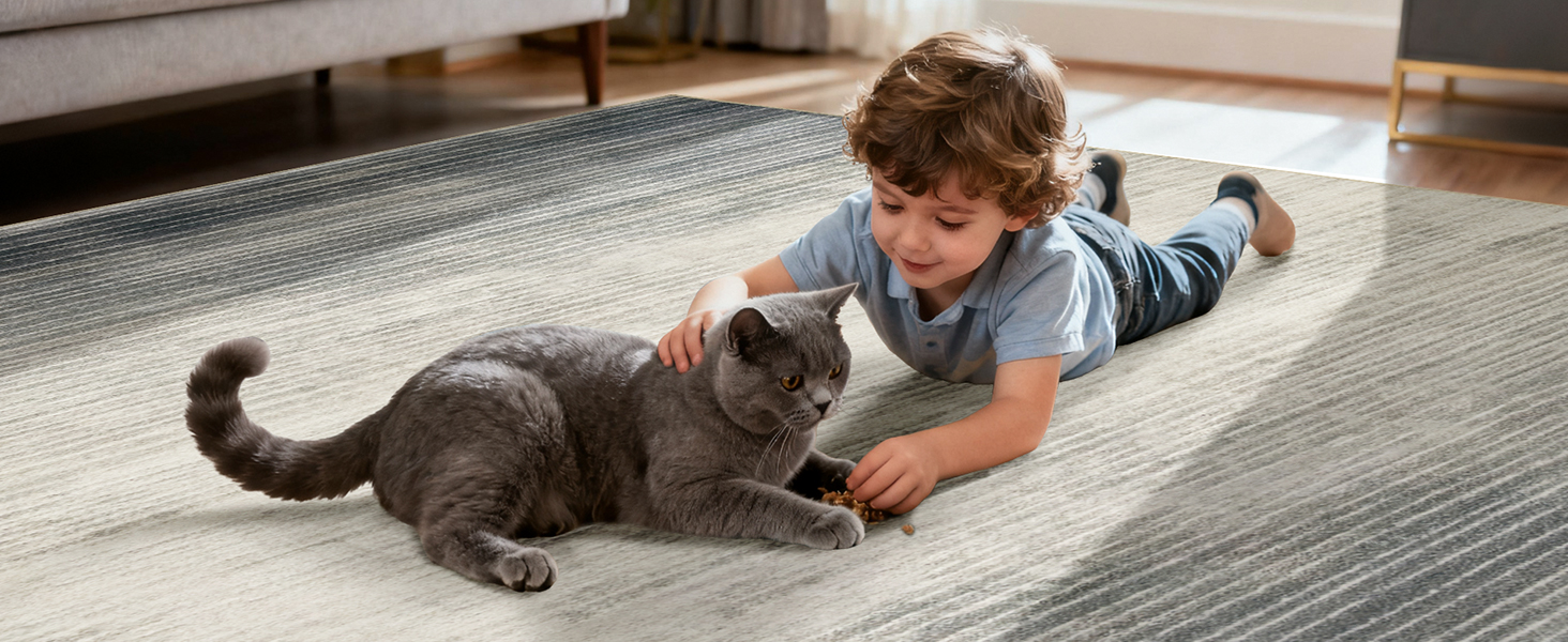 rug