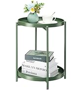 danpinera 2 Tier Metal Side Table with Removable Tray, End Table Outdoor Side Table Small Accent ...