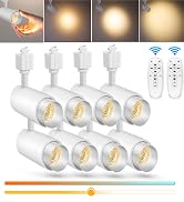 dimmable track lighting heads