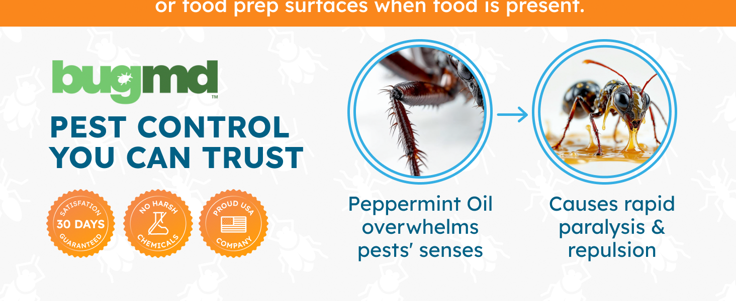 Bug spray for home with peppermint oil protection safe for kitchens bedrooms patios gardens