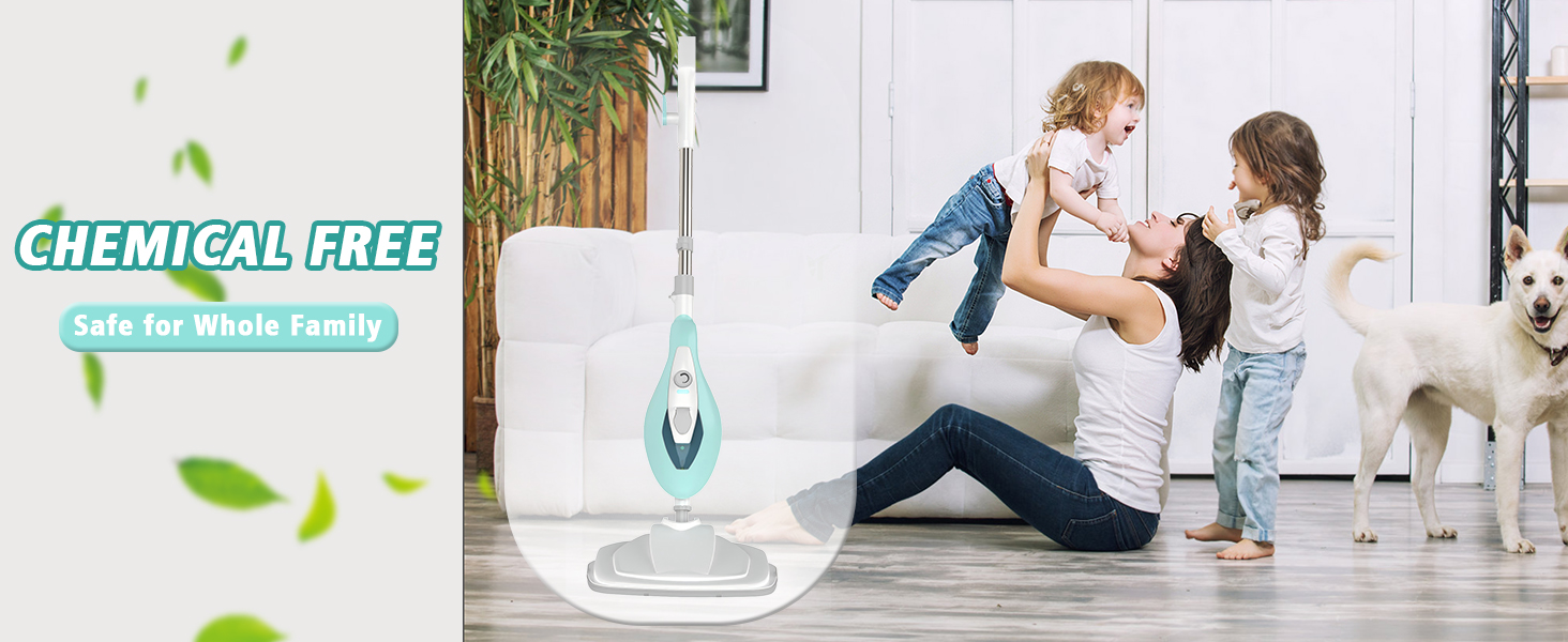 steam mop