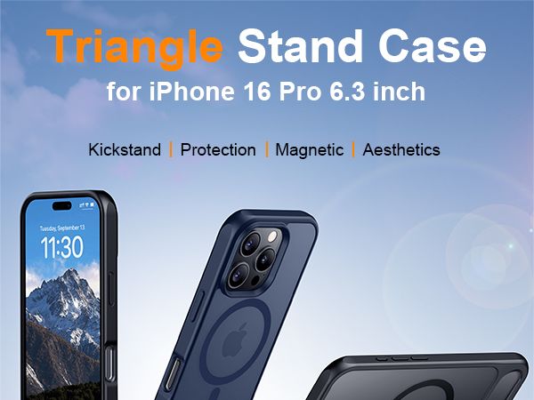 iPhone 16 Pro Case