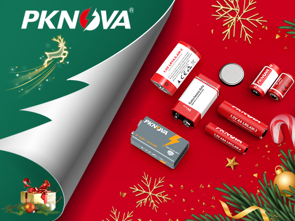 pknova 6lr61