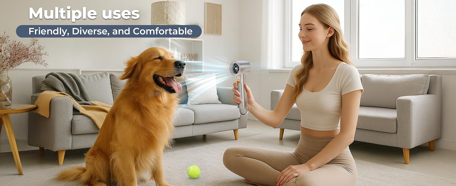 portable turbo fan 