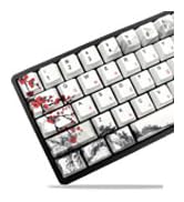 pbt keycaps