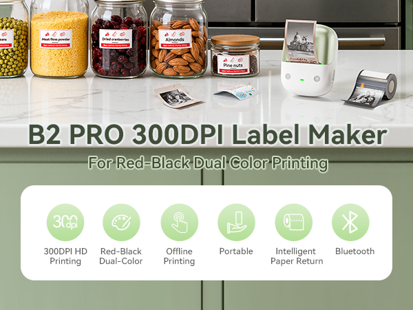 NIIMBOT B2 PRO Portable LABEL MAKER 300DPI