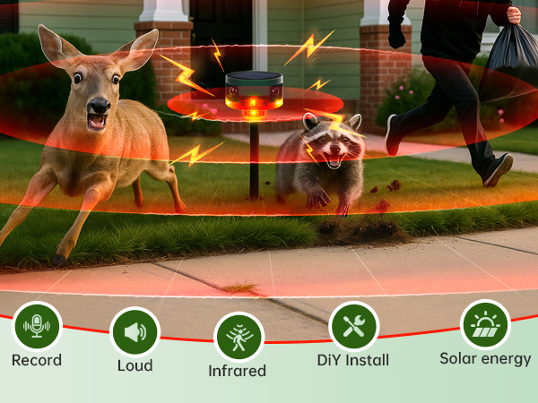 solar alarm round2 02 app