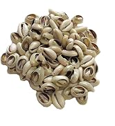 100 Pcs White and Lvory Natural Cowrie Shells Beads Oval Beach Seashells African Shells for Hair ...