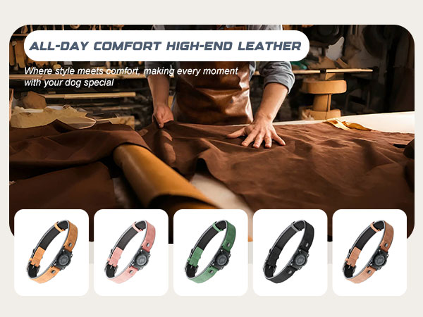 dog collar with airtag holder