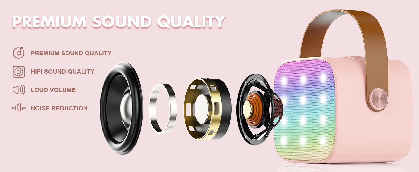 Mini Karaoke Machine Premium Sound Quality