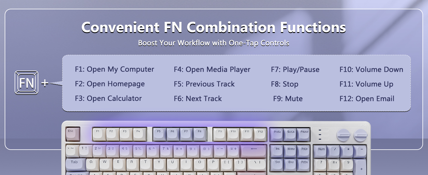 fn media keys