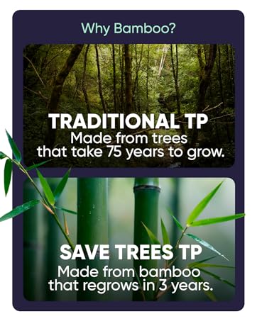 toilet paper ply bamboo free organic recycled bulk biodegradable chemical natural non toxic