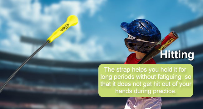 baseball hitting sticks