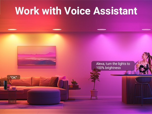 Voice Control APP Control