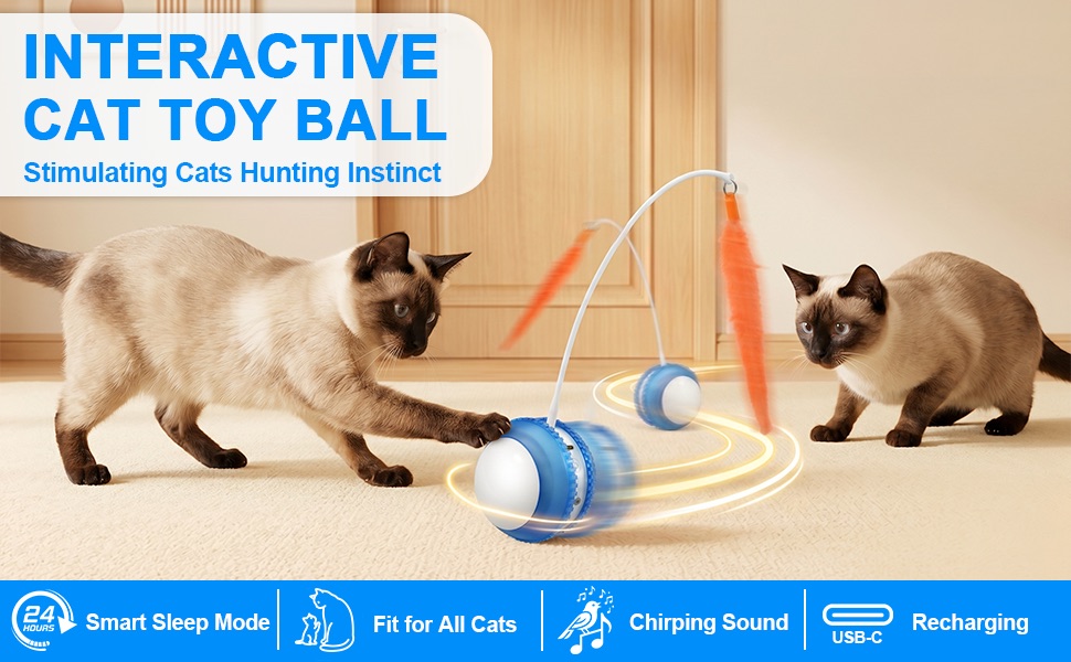 cat toy ball