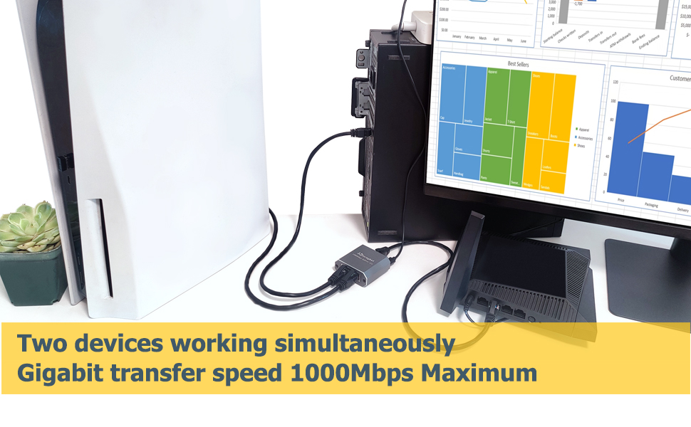 ethernet hub with 2 Gigabit port