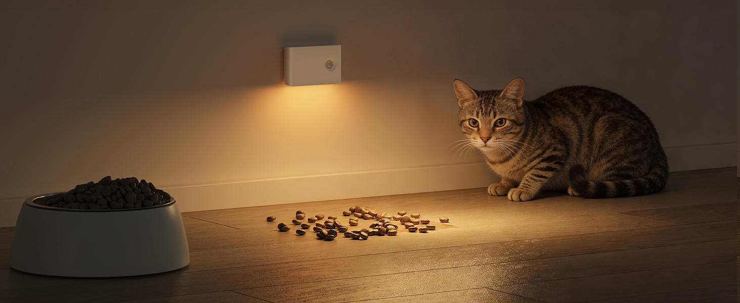 rechargeable night light