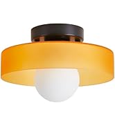 GloMuse Ceiling Light Fixtures Vintage Flush Mount Ceiling Light Mid Century Modern Lights Kitche...
