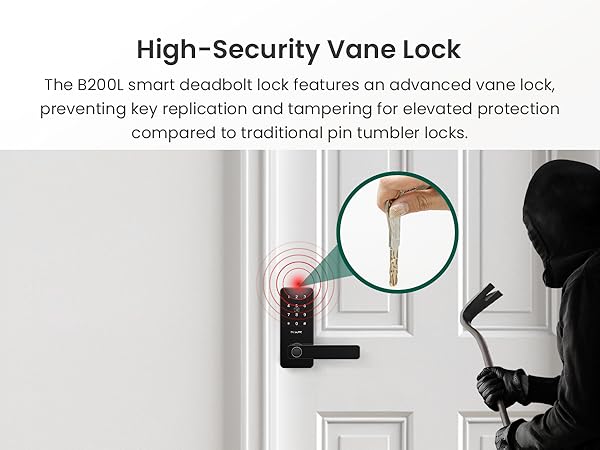 High-Security Vane Lock